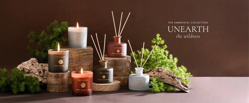 Vanilla Dream Bundle